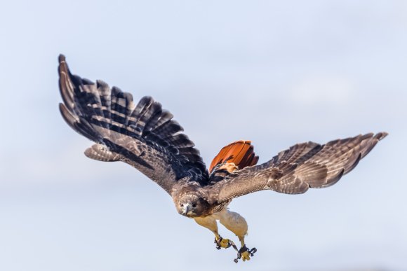 Â© Candid Memories By Ken Frazier