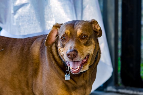 © Candid Memories By Ken Frazier