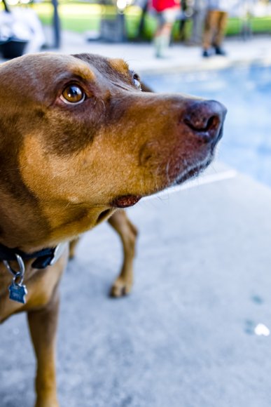 © Candid Memories By Ken Frazier