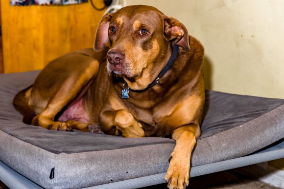 © Candid Memories By Ken Frazier