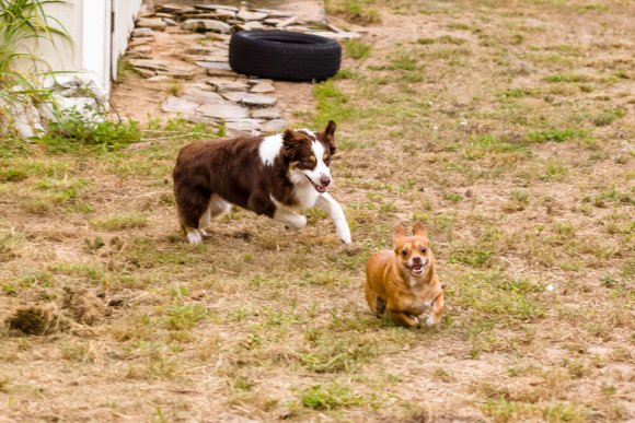 Â© Candid Memories By Ken Frazier