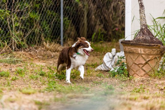 Â© Candid Memories By Ken Frazier