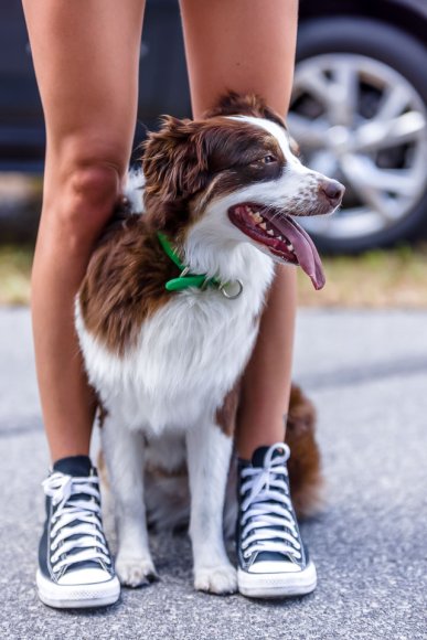 Â© Candid Memories By Ken Frazier