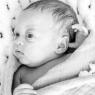 2024-11-06 Nora