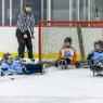 2021-06-12 Sled Bears
