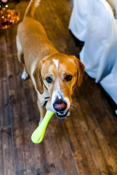 © Candid Memories By Ken Frazier