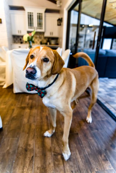 © Candid Memories By Ken Frazier