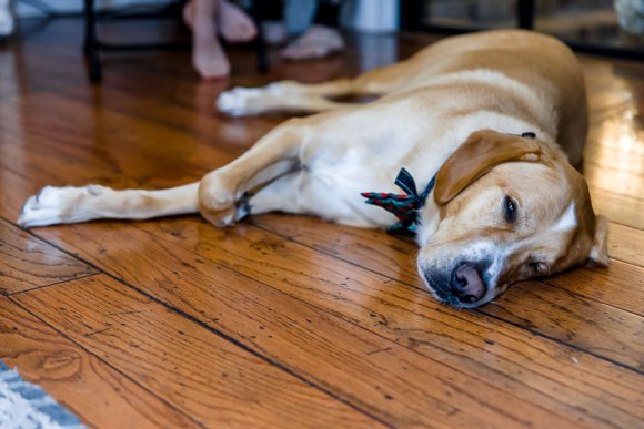 © Candid Memories By Ken Frazier