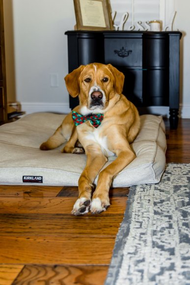 © Candid Memories By Ken Frazier