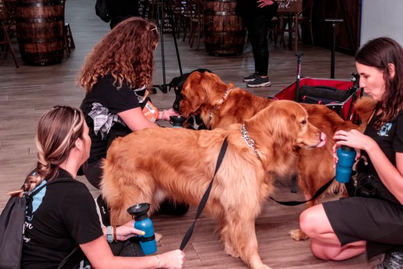 Â© Candid Memories By Ken Frazier