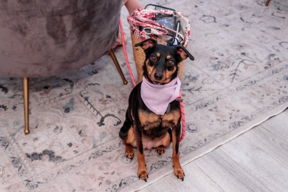 Â© Candid Memories By Ken Frazier