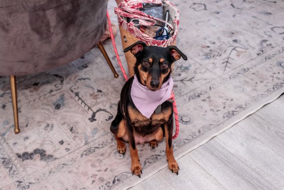 Â© Candid Memories By Ken Frazier